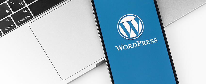 WordPress 6.7 Highlights: All You Need to Know